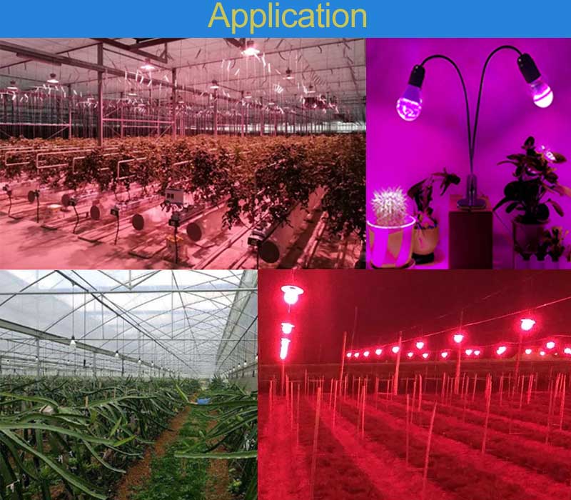 Application-3