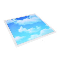Customized Office Blue Sky Cloud Led Ceiling Panel Light Manufacturer