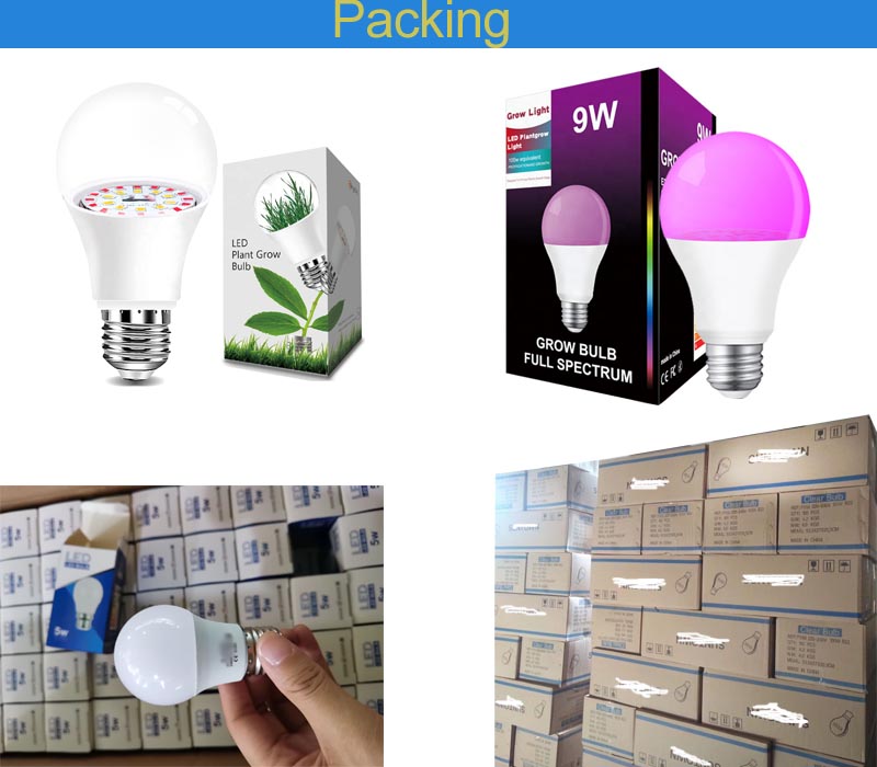 Packing-3