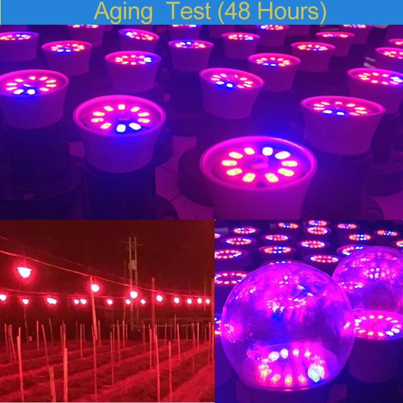 Aging Test-3